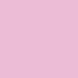 THE PINKENING - LADIES Design
